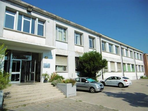 Abbigliamento scolastico per scuole worklike